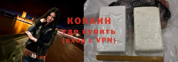 прущий лед Новозыбков