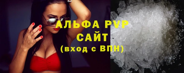 прущий лед Новозыбков