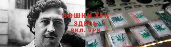 прущий лед Новозыбков