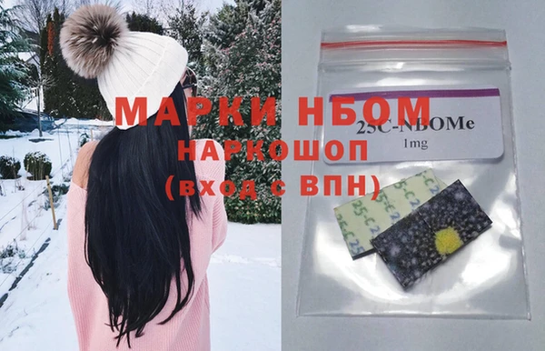 прущий лед Новозыбков