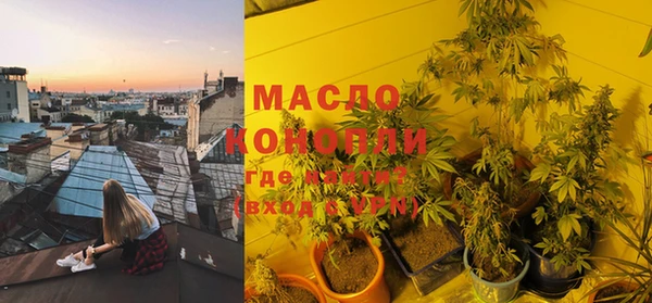 дмт Новокубанск