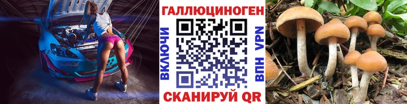 Псилоцибиновые грибы мухоморы  кракен как зайти  Сосновка 